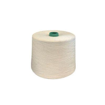 Dây viscose gạch 75D / 24F may và dệt 300D sang trọng
